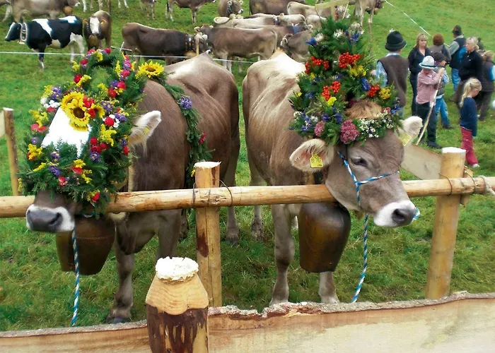 Breyer, Südliches Allgäu Apartamento